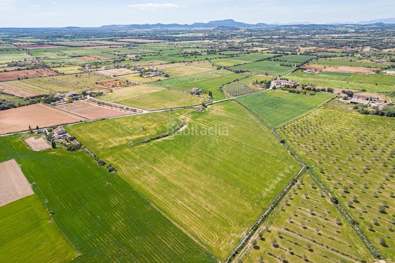 Foto d6c88dd2-46b7-4b73-8964-b3fba51161ff. Terreno residenziale in Felanitx poble Felanitx