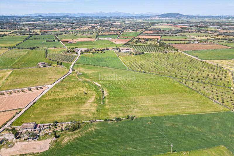 Foto e1f46306-efc3-4644-8930-a25ff55c8f17. Terreno residenziale in Felanitx poble Felanitx