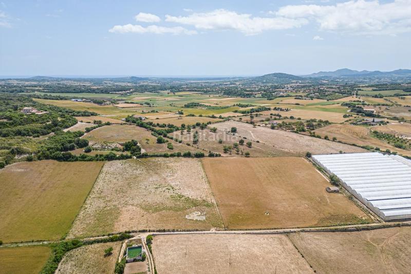 Foto abc58981-a5bd-4b2f-95ef-d6c42fcb658d. Terrain résidentiel dans Manacor centre Manacor