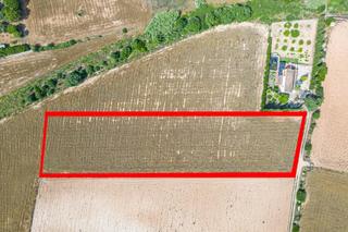 Propriété à Manacor Centre. Terreno de 7103 m2 en manacor