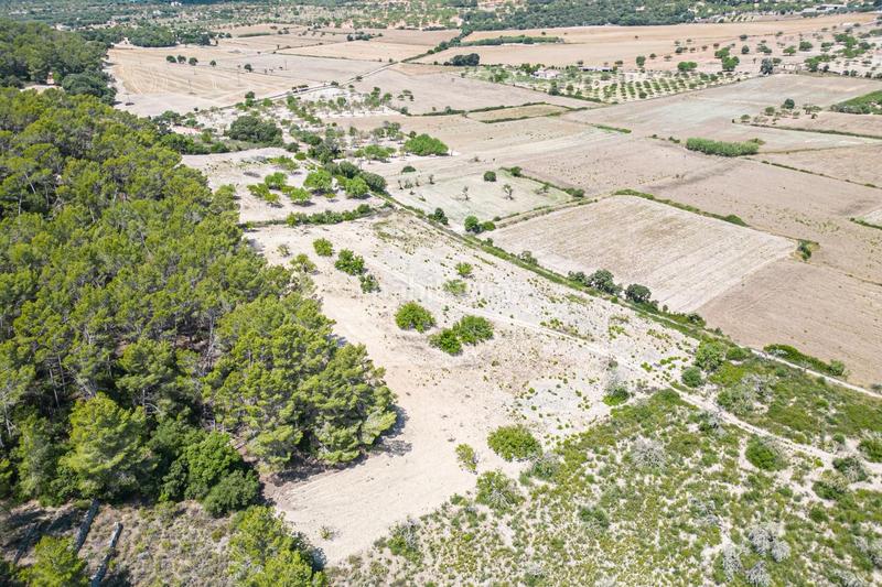 Foto 37a246bb-0558-4d2a-9358-046d3ae0d8c2. Rural plot in Porreres