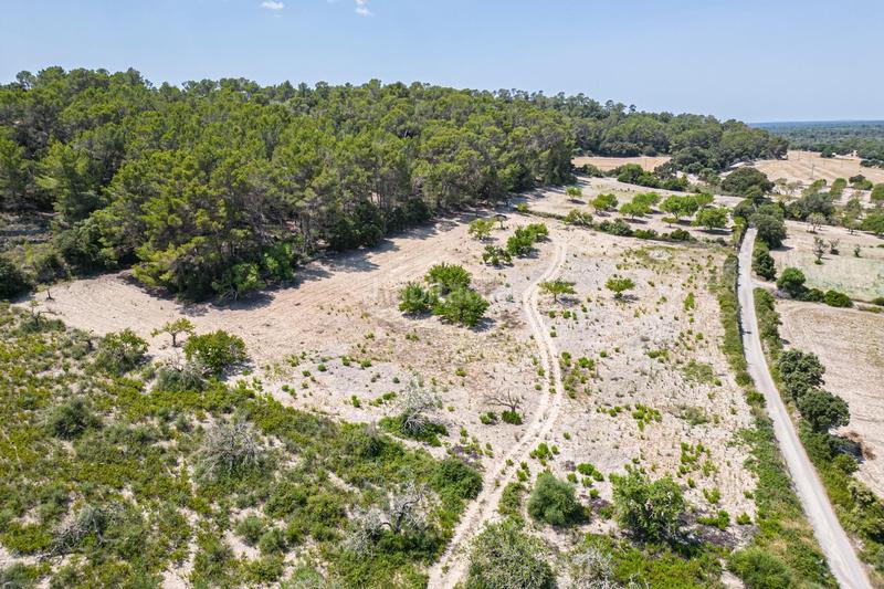 Foto 4b12bad7-ec85-4909-af98-311dcb453e7f. Rural plot in Porreres