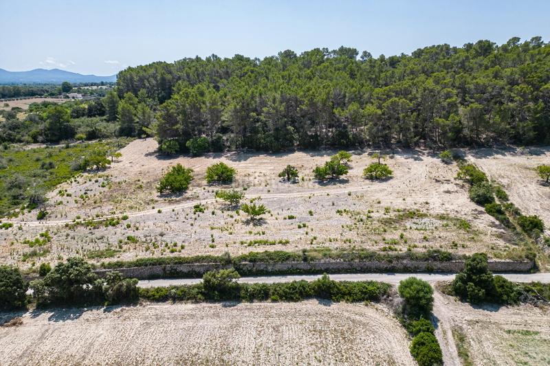 Foto 4e674bc8-5e8b-4344-a51e-de171e7c09e2. Rural plot in Porreres