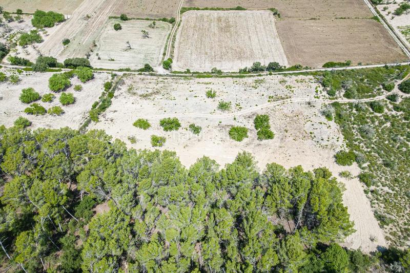 Foto 993cc8f6-901d-44b2-bc6b-171e5ad080e4. Rural plot in Porreres