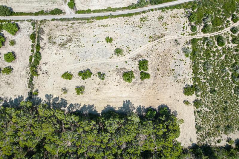 Foto a5cfcfab-dba0-4671-b719-90924039d6a3. Rural plot in Porreres