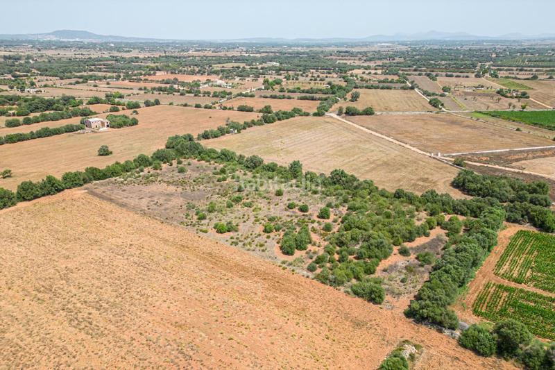 Foto 3da2f425-515d-4768-bfd4-97edf4ab4964. Terreno residenziale in Portocolom Felanitx