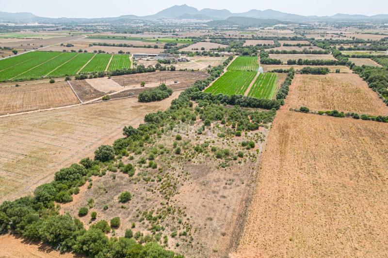 Foto 5a8dd7d4-ba0c-473a-b378-32450b103e0c. Terreno residenziale in Portocolom Felanitx
