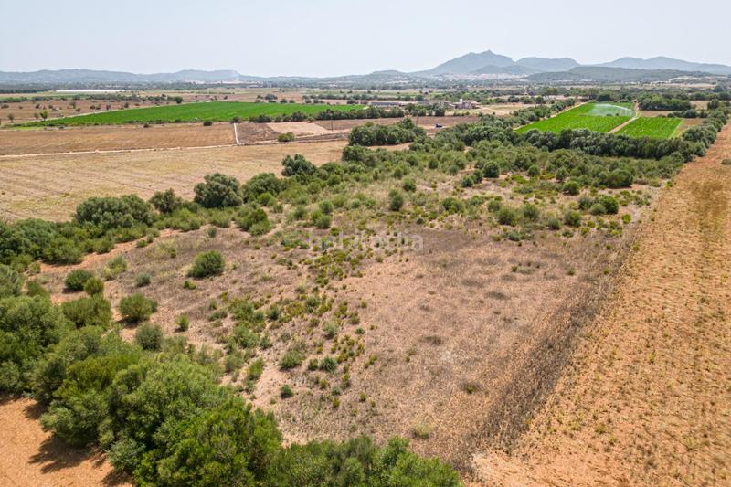 Foto ba16781c-7109-4fed-b680-03855f18b609. Terreno residenziale in Portocolom Felanitx