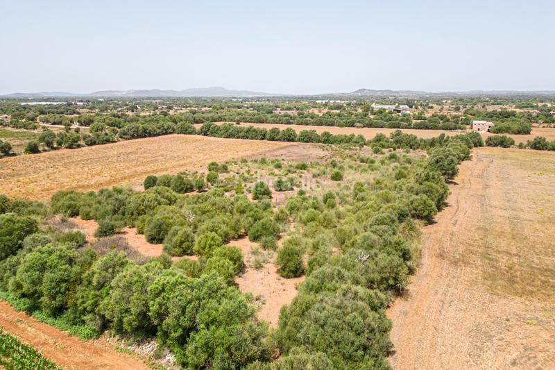Foto ce644700-72bf-4820-9bd0-1a93a38c89a2. Terreno residenziale in Portocolom Felanitx