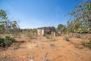 Rural plot in Santa Margalida Poble. Suelo rústico con caseta antigua para reformar en santa margalid