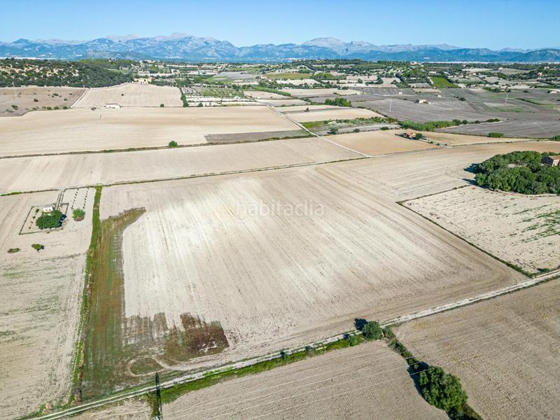 Foto 09b3684f-7a48-4ee8-87f2-240f924e9188. Wohngrundstück in Maria de la Salut