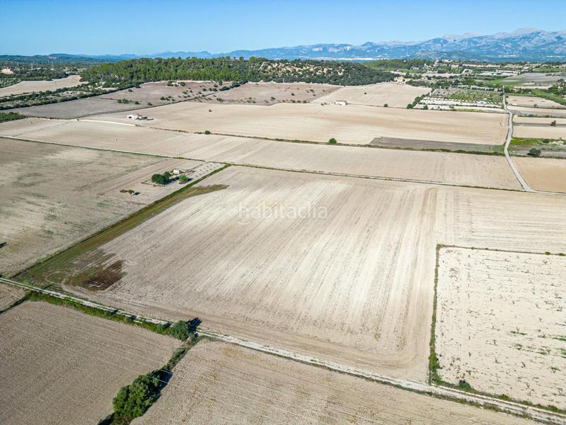 Foto 0f3454d9-2ac5-48b3-9fa3-8ba6222716e6. Wohngrundstück in Maria de la Salut