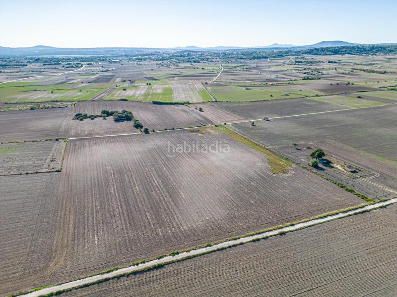 Foto 2e15f9aa-6ccd-49d2-b13a-81f8dacedd92. Wohngrundstück in Maria de la Salut