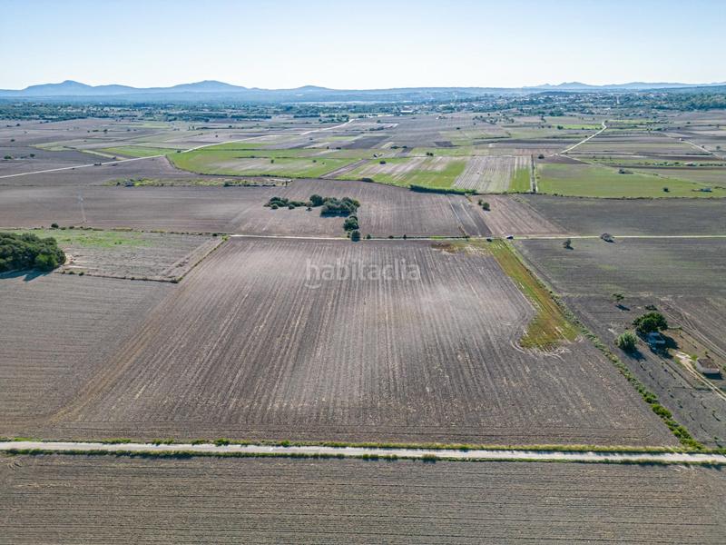 Foto 3c566509-bca8-4d55-9d8e-ad48d923cc59. Wohngrundstück in Maria de la Salut