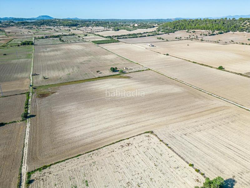 Foto 72cbeb36-7678-4146-b9ae-432925e7bf4c. Wohngrundstück in Maria de la Salut