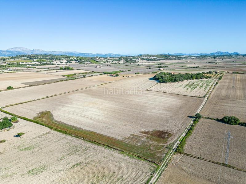 Foto 7ef376e2-c02c-4c48-8131-5a6acf1b2acf. Wohngrundstück in Maria de la Salut