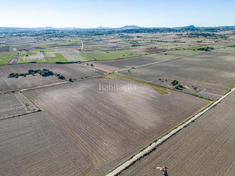 Foto 893abf46-dd84-4367-9b9d-cadb388b62e6. Wohngrundstück in Maria de la Salut