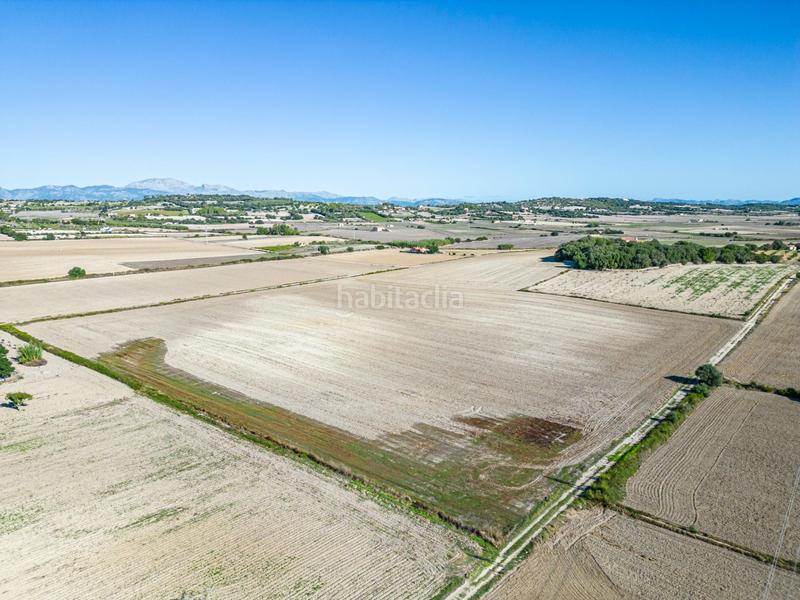 Foto 8e204184-df4c-4a82-97bd-e2aabc5c40da. Wohngrundstück in Maria de la Salut