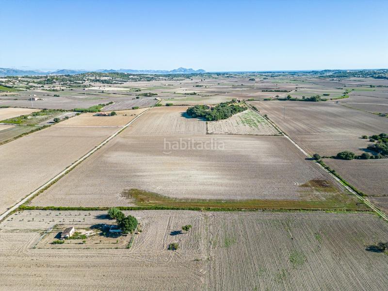 Foto 9107dc5b-e109-43cd-a8e5-725546ac0da1. Wohngrundstück in Maria de la Salut