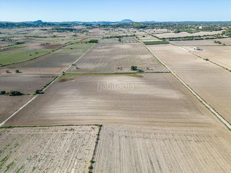 Foto b046a934-8a88-4b76-be42-95d3b13f5d13. Wohngrundstück in Maria de la Salut