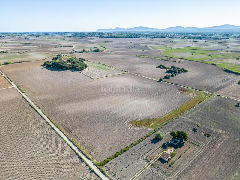 Foto b45ef315-d256-4660-a723-6f60abc8e3d5. Wohngrundstück in Maria de la Salut