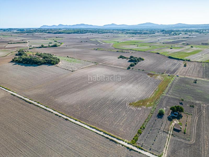 Foto bd153642-3d7a-4a04-9be1-25823405a0db. Wohngrundstück in Maria de la Salut