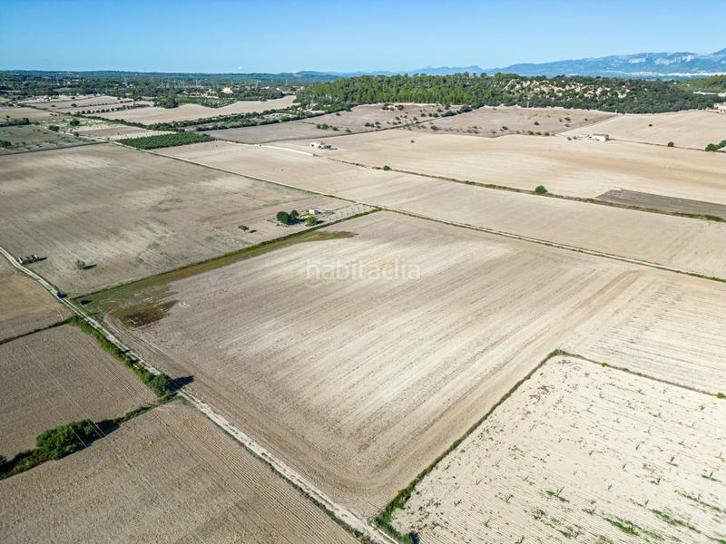 Foto e11c8b22-d05f-4632-8ffb-97f5796cc455. Wohngrundstück in Maria de la Salut