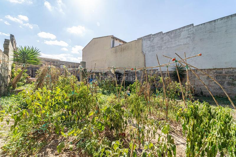 Foto cea8b896-0c18-4c6d-99f5-ac516d12b638. Terreny residencial a Muro