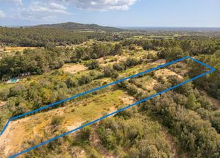 Rural plot in Llucmajor Interior. Solar rústico de 7.299 m2 a las afueras de llucmajor