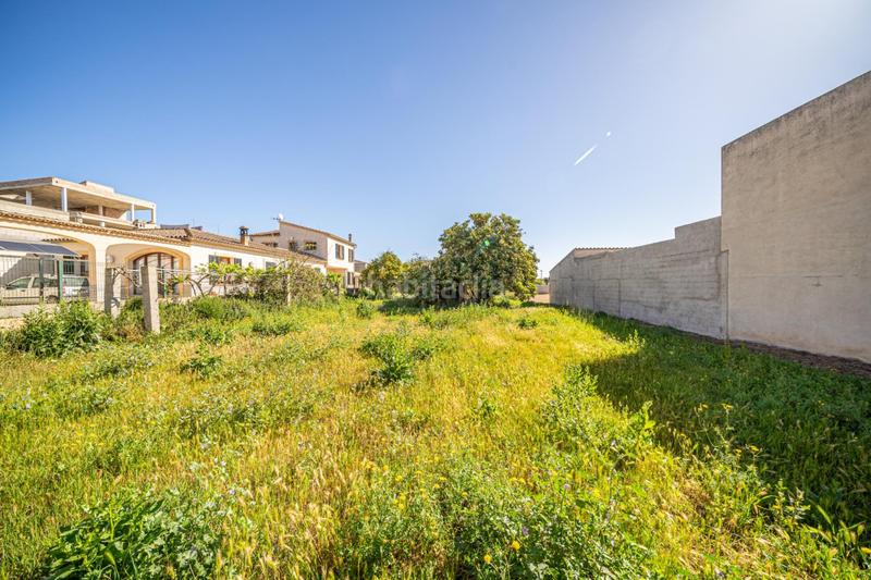 Foto 04fc2cbd-6bc2-442e-8457-96922e788c5c. Residential plot in Vilafranca de Bonany