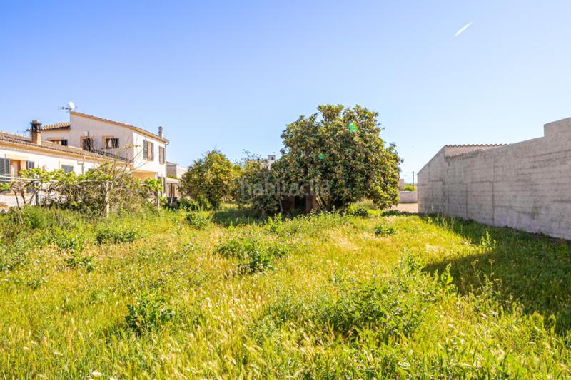 Foto 08ce18e0-c297-44ce-8d38-9edd5de0eefa. Residential plot in Vilafranca de Bonany