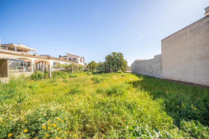 Foto 2c803bc3-6239-4213-98ff-6a7edf5e4446. Residential plot in Vilafranca de Bonany