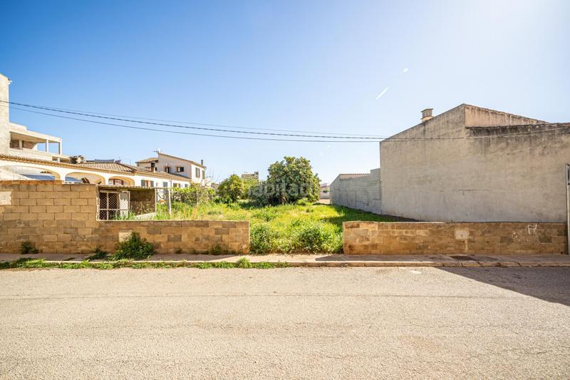 Foto 38f2c766-a6d0-4ec6-ac4d-a7f943a8cce1. Residential plot in Vilafranca de Bonany