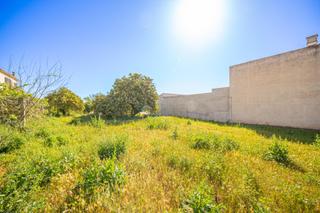 Residential Plot in Vilafranca de Bonany. Solar en vilafranca de bonany