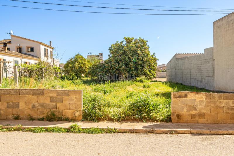 Foto 7e10a4f0-89ea-4e1a-a23a-bff05d72d160. Residential plot in Vilafranca de Bonany