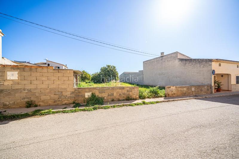 Foto adfddd28-bc55-4535-b871-41eec3b07c5f. Residential plot in Vilafranca de Bonany
