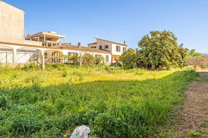 Foto bec5d825-a99f-4ab7-9e8d-506c8470b6b0. Residential plot in Vilafranca de Bonany