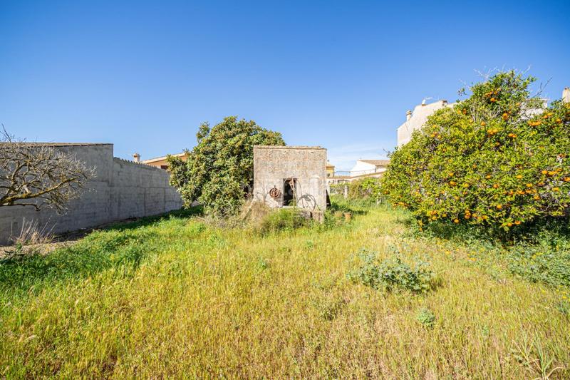 Foto c37db8c2-ac4a-413f-8a8b-55195c13b63c. Residential plot in Vilafranca de Bonany