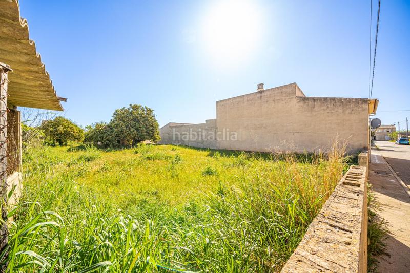 Foto d550640e-7093-4c8c-97de-e5e4b1551e3f. Residential plot in Vilafranca de Bonany