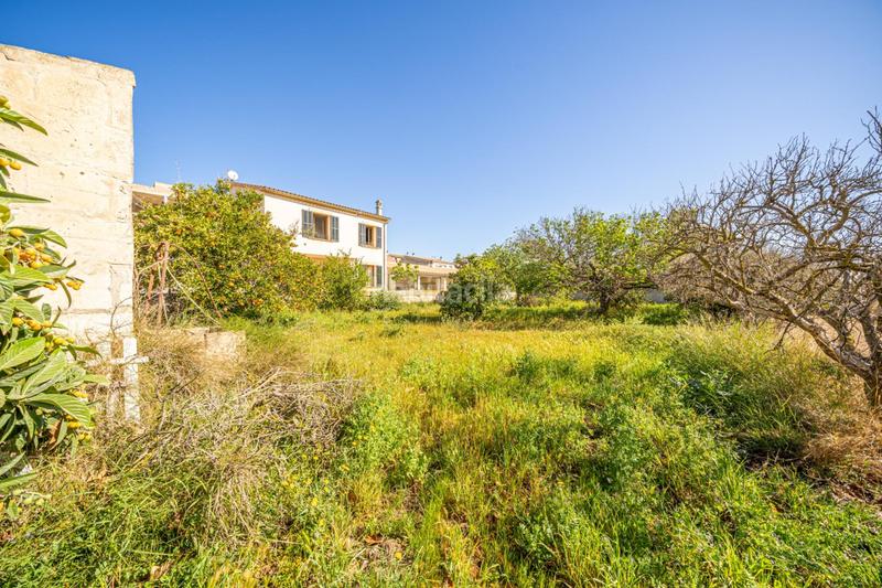 Foto f5718121-22c3-4dc4-bb07-7edfcec64937. Residential plot in Vilafranca de Bonany