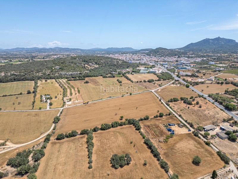Foto 05635743-76a4-4e79-b177-1b1d14483f69. Rural plot in Felanitx poble Felanitx