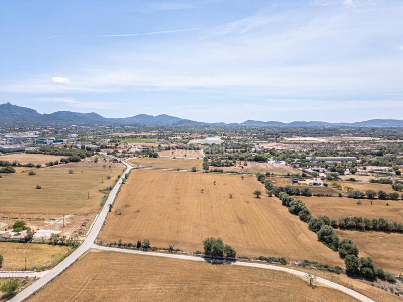 Foto 35914c3b-790b-4c17-ab7d-a31a4bed6615. Rural plot in Felanitx poble Felanitx
