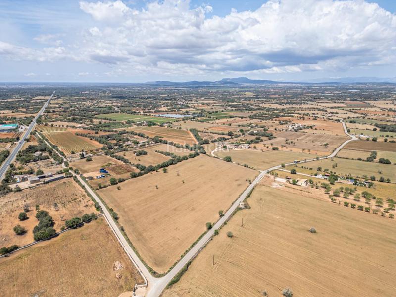 Foto 49fccfa7-4a81-462d-bb68-6512aa96f6f4. Rural plot in Felanitx poble Felanitx