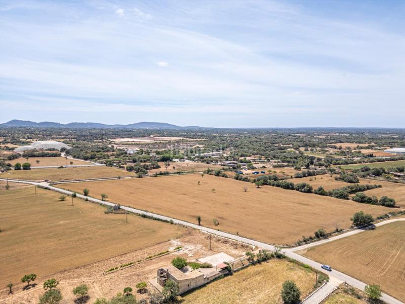 Foto 4ab3c85f-1b46-4ff2-b5e1-0399ad3768ab. Rural plot in Felanitx poble Felanitx