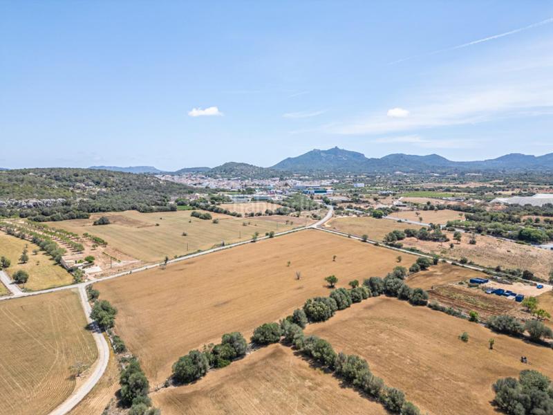Foto 5429f408-e465-41a7-a28e-43e920256f98. Rural plot in Felanitx poble Felanitx