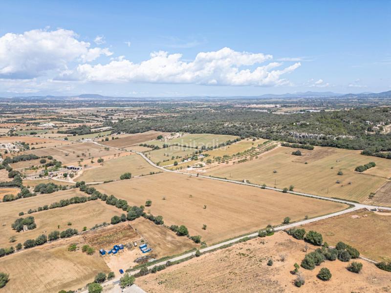 Foto 6257c167-65e5-492b-aaee-c3c8b7695aa1. Rural plot in Felanitx poble Felanitx