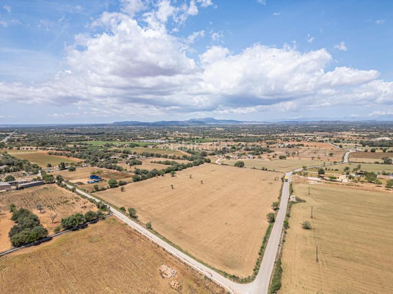Foto 65427aaf-310d-4e19-9f85-d92a43342974. Rural plot in Felanitx poble Felanitx