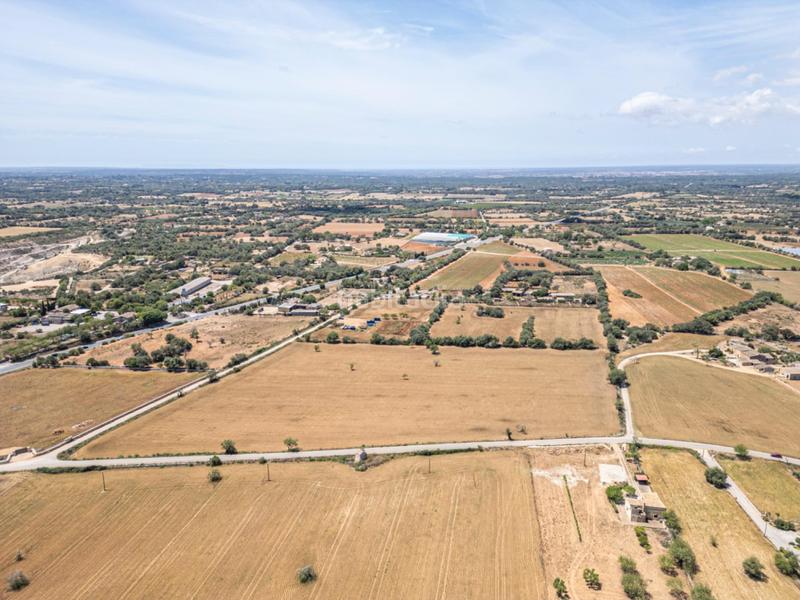 Foto 757a3253-6e5c-47f0-959b-8dc0b054f833. Rural plot in Felanitx poble Felanitx
