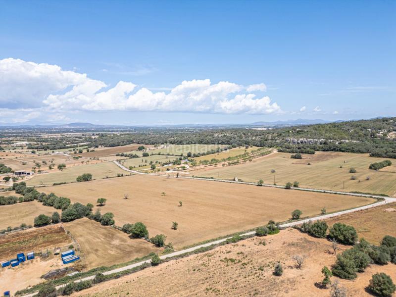 Foto 7c262557-3bf6-4642-bf9d-df4ae5582266. Rural plot in Felanitx poble Felanitx