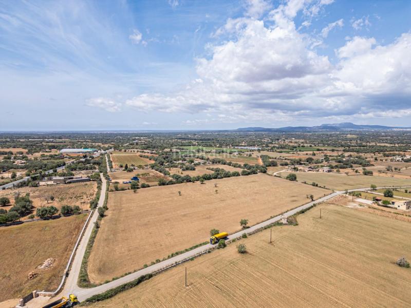 Foto 7f3a11ca-0604-4355-af79-f4dd8695e0e0. Rural plot in Felanitx poble Felanitx